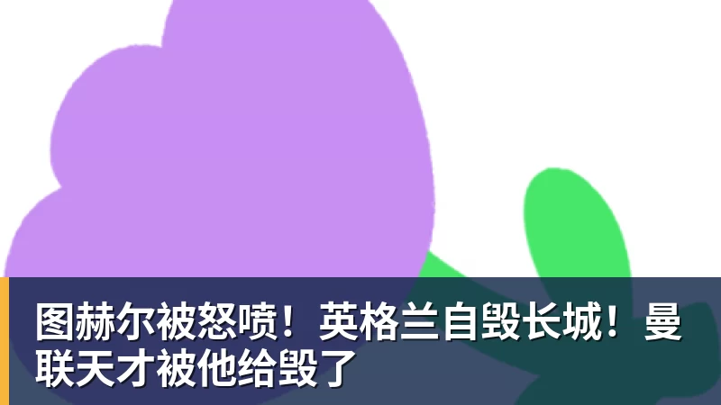 图赫尔被怒喷!英格兰自毁长城!曼联天才被他给毁了 - FB体育平台官方网站 - FB(中国)