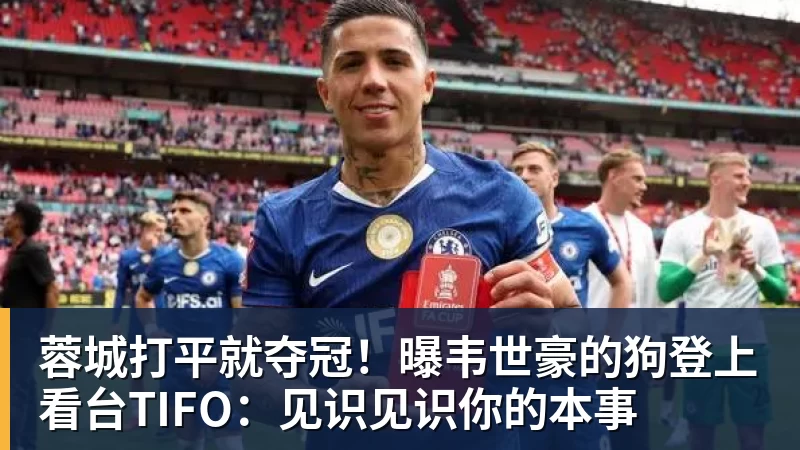 FB体育蓉城打平就夺冠!曝韦世豪的狗登上看台TIFO:见识见识你的本事